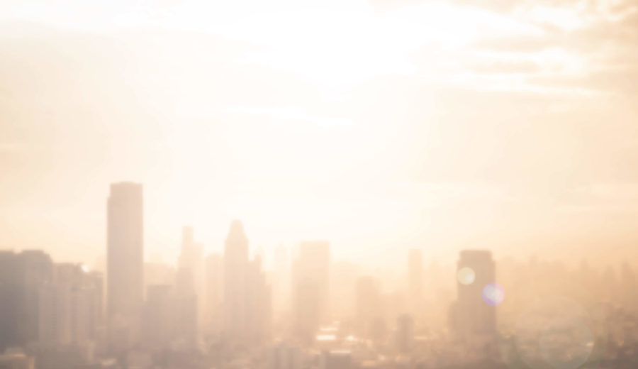 Constantly growing to achieve greater heights