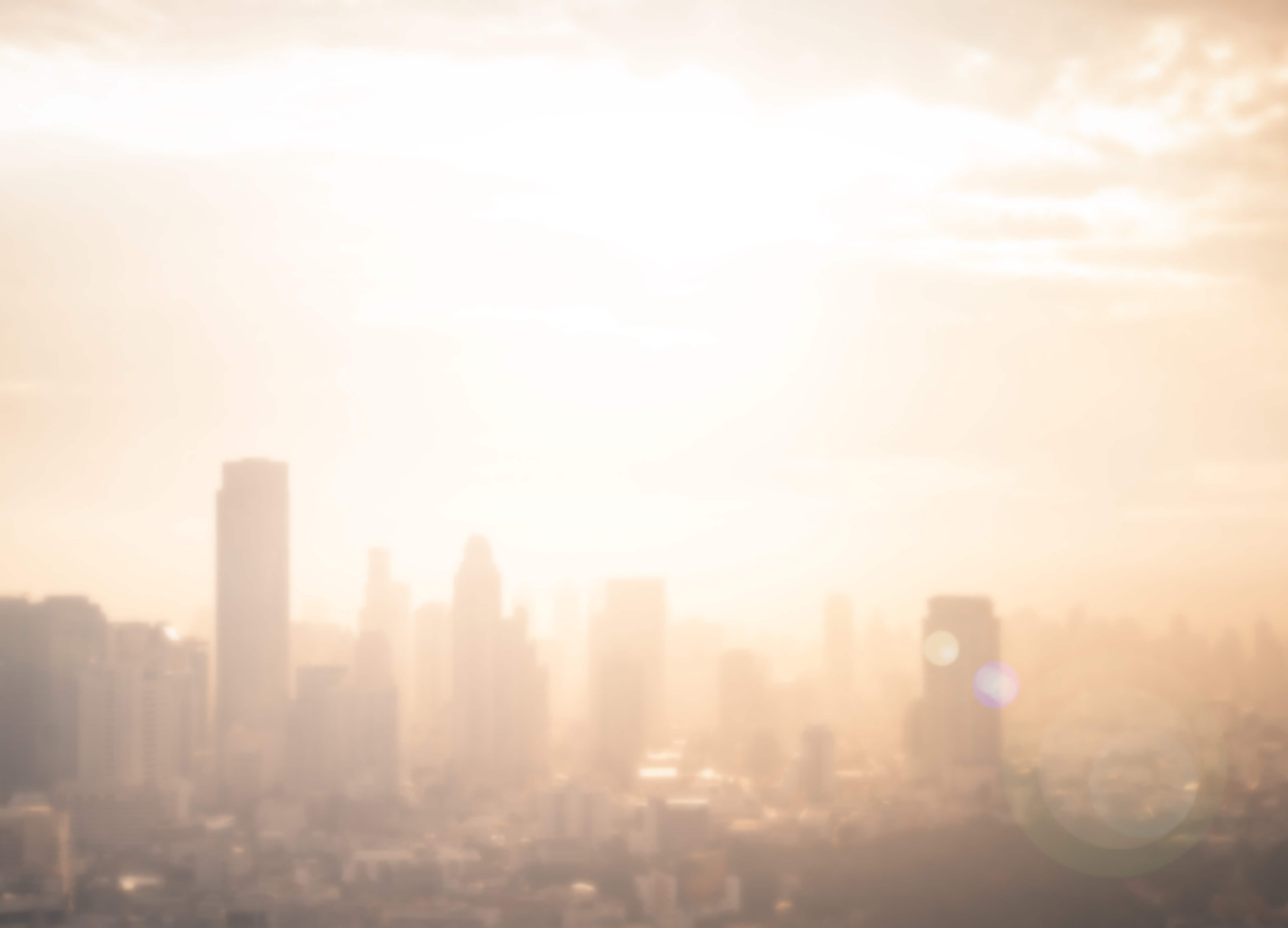 Constantly growing to achieve greater heights