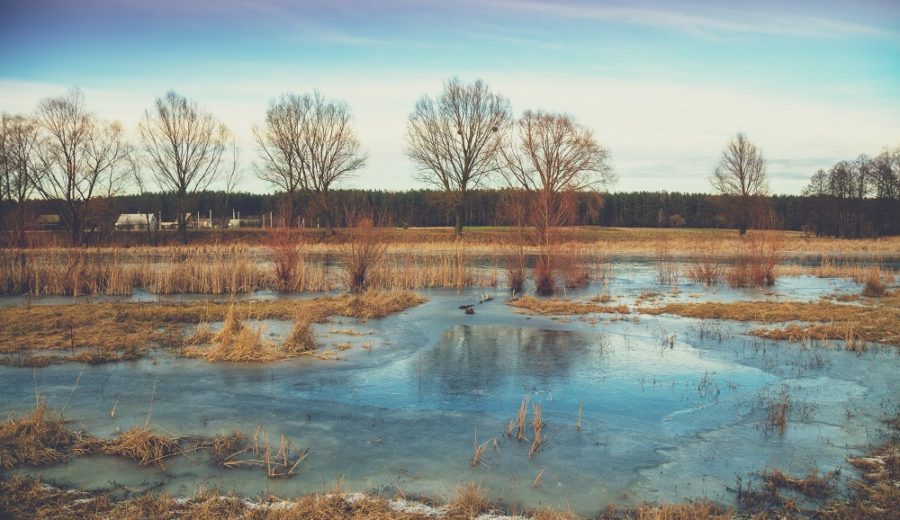 Everything Winter: Eating, Drinking and more