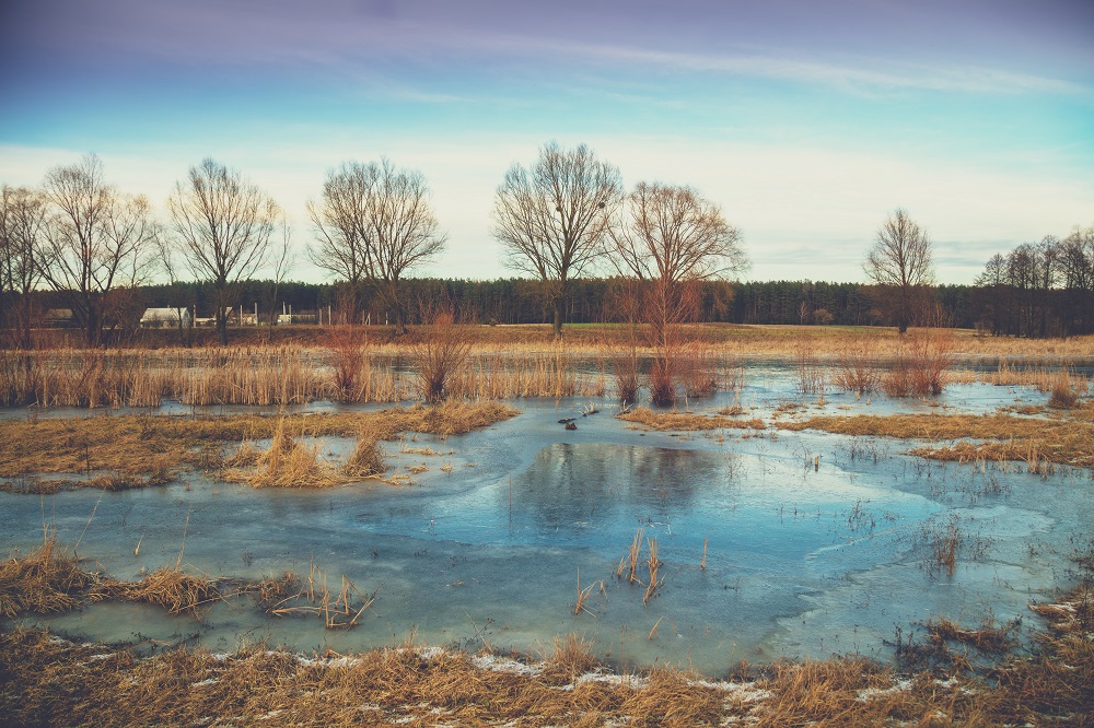 Everything Winter: Eating, Drinking and more