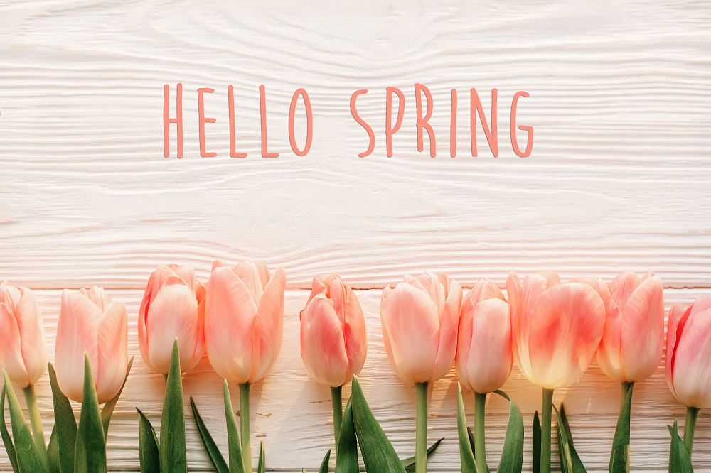 Welcoming Spring