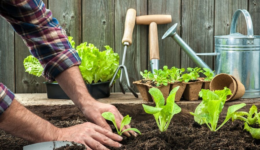 Money-saving tips for 2020