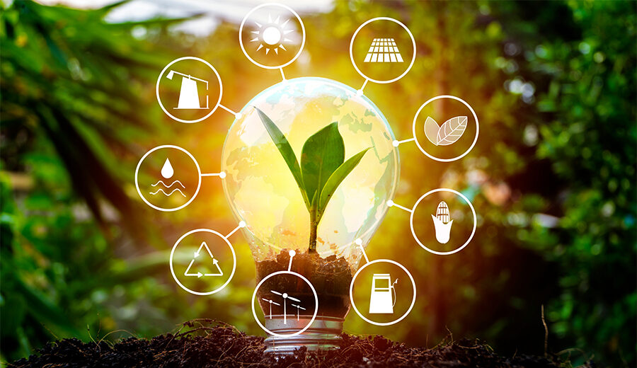 Saving energy in small ways this World Energy Conservation Day