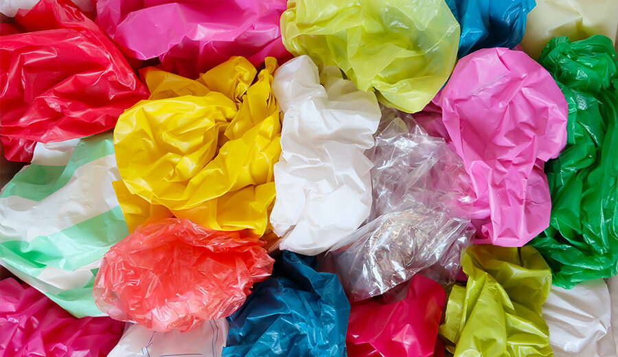 3 July 2022: The Start to a Plastic Bag Free Future!